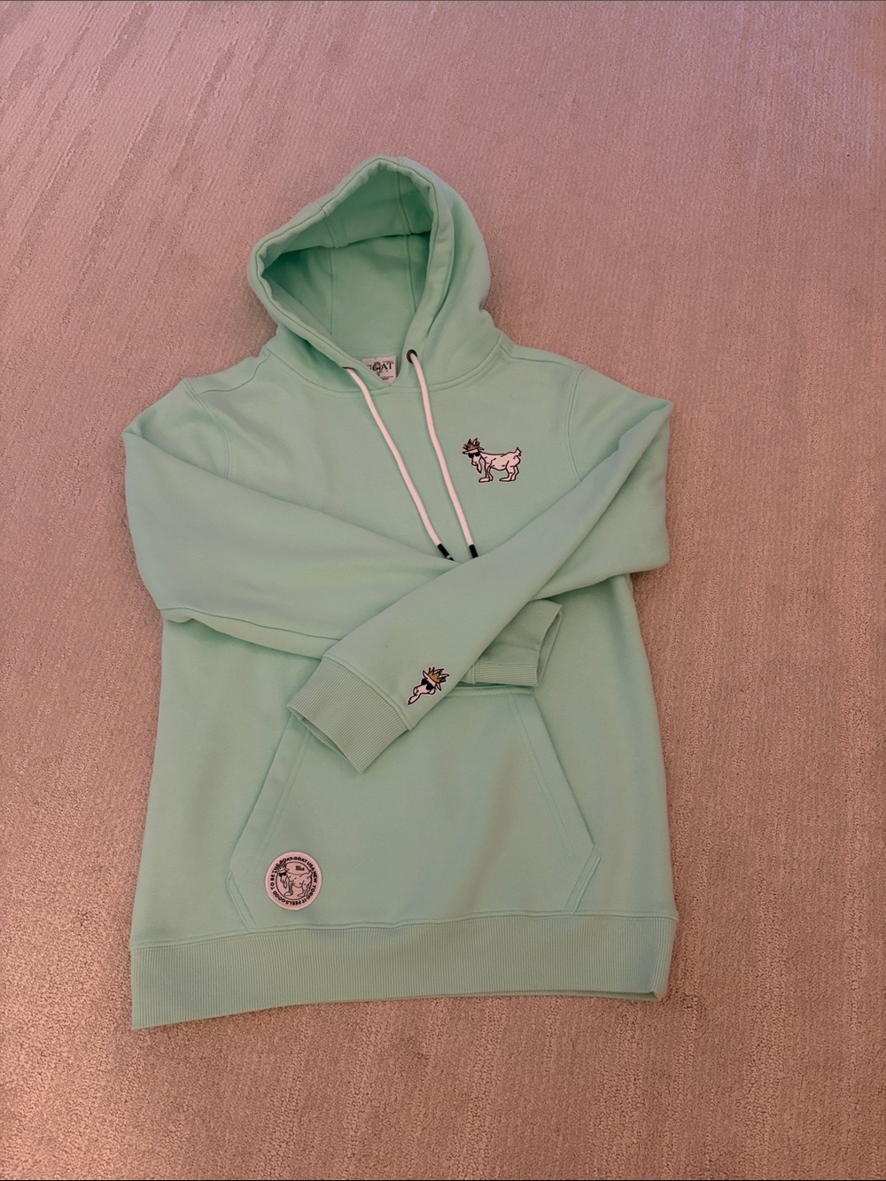 Mint Green Embroidered Hoodie by GOAT (BRAND NEW)